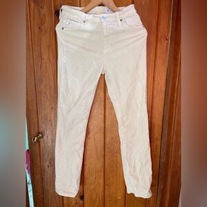 AG Jeans Velvet Feel Pants